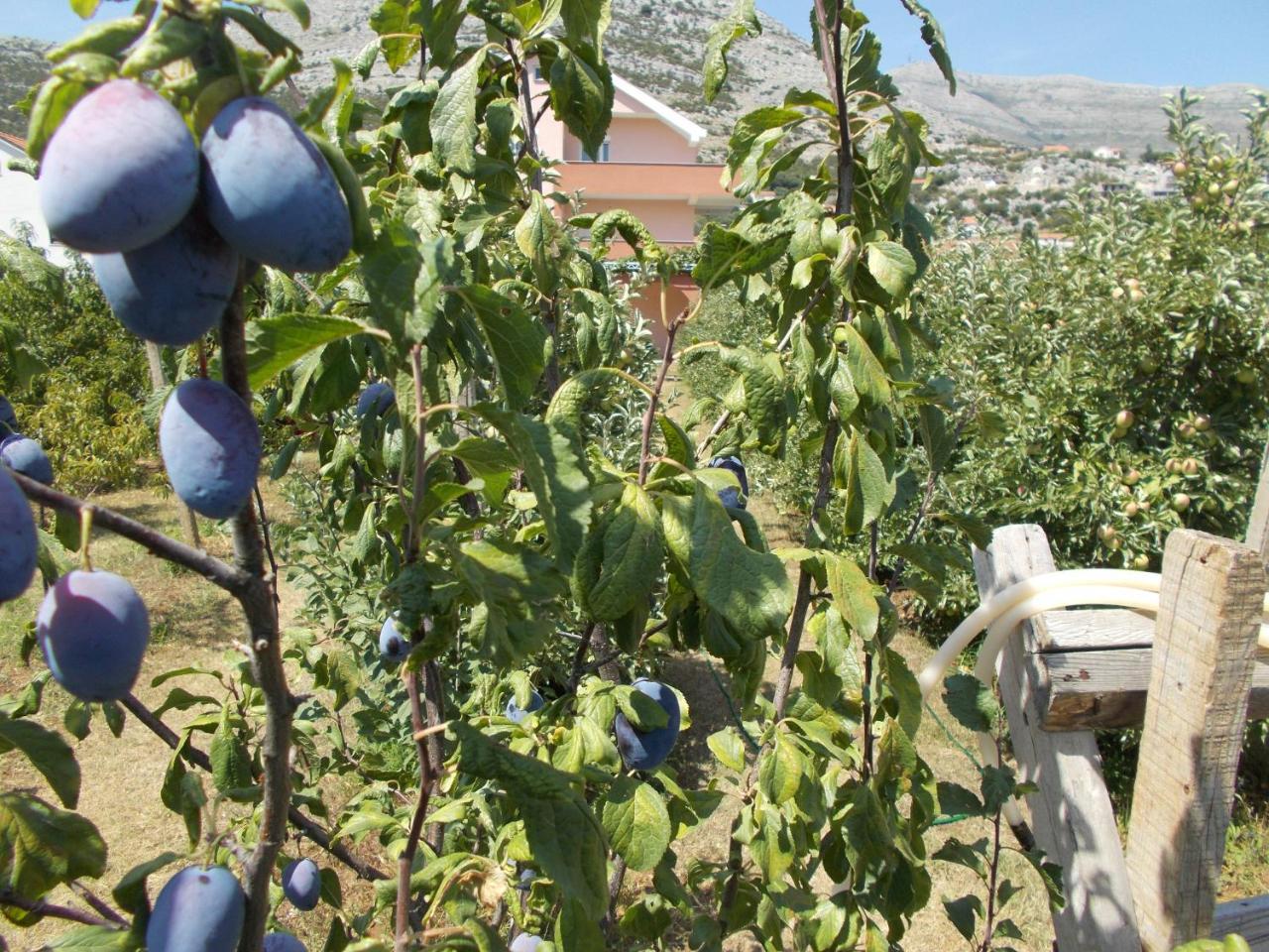 Apartmani Slado Τρέμπινιε Εξωτερικό φωτογραφία