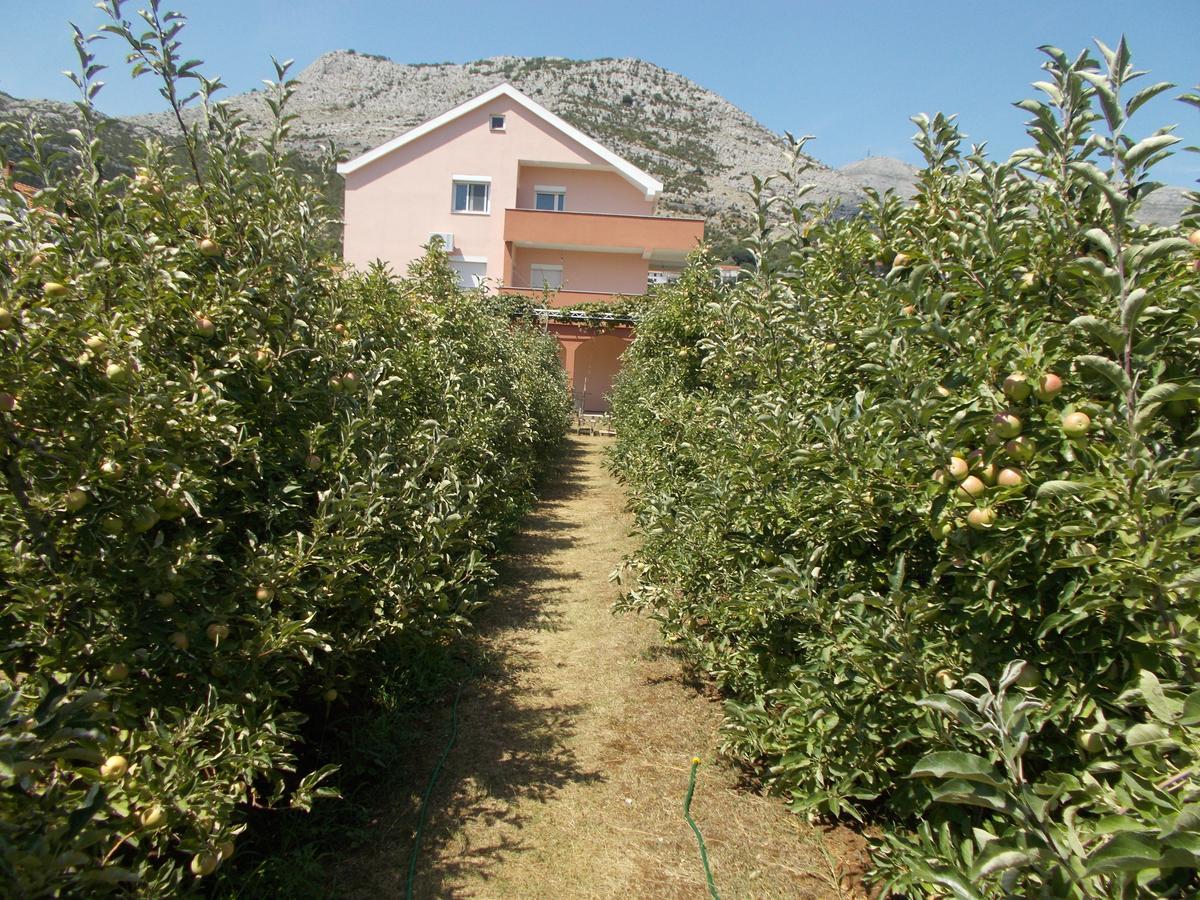 Apartmani Slado Τρέμπινιε Εξωτερικό φωτογραφία